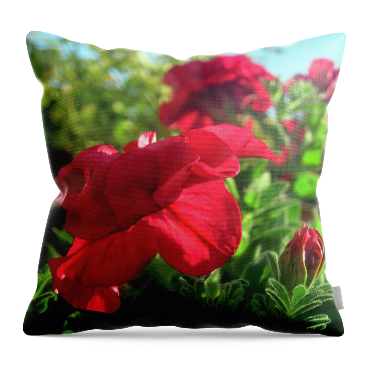 Red Flowers Throw Pillow featuring the photograph Balcony Garden Flower 1 AUG 2020 by Jaeda DeWalt