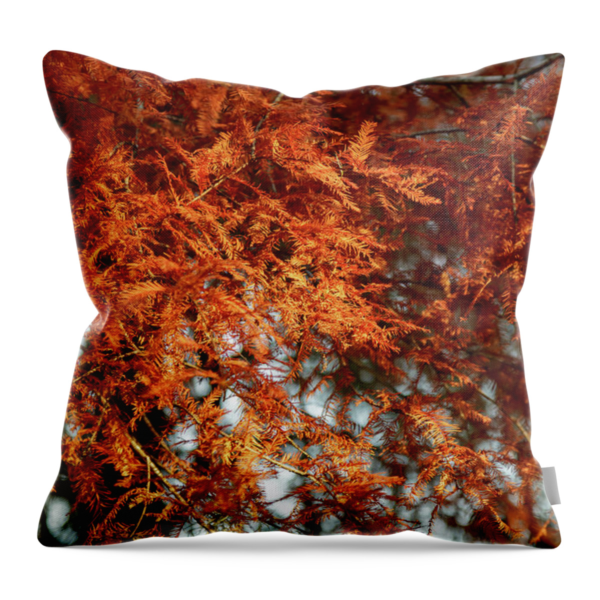 Tree Throw Pillow featuring the photograph Bald Cypress In Autumn by Mike Schaffner