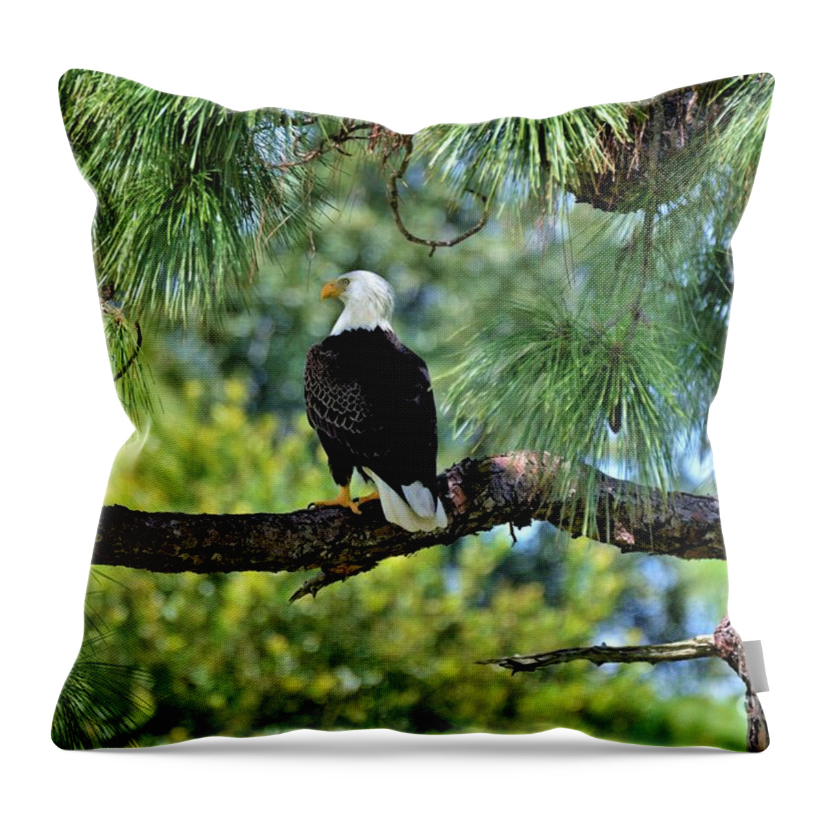 Bald Eagle Throw Pillow featuring the photograph Bald Eagle American Symbol by Julie Adair