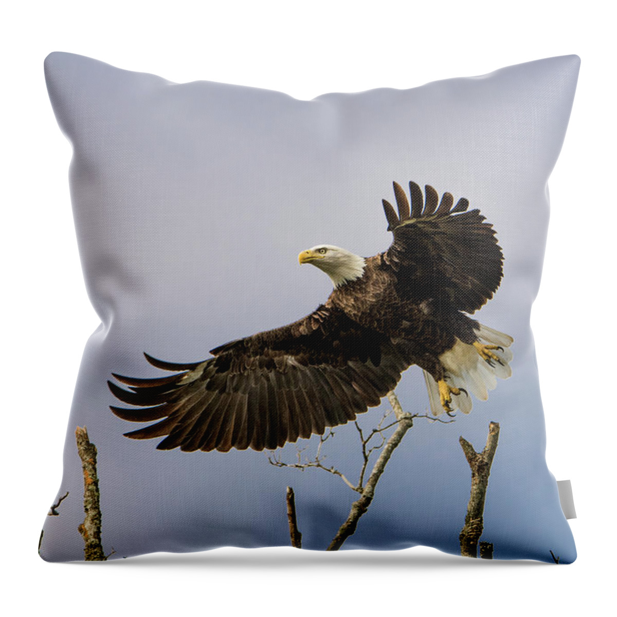 Bald Eagle Throw Pillow featuring the photograph Bald Eagle by Linda Shannon Morgan