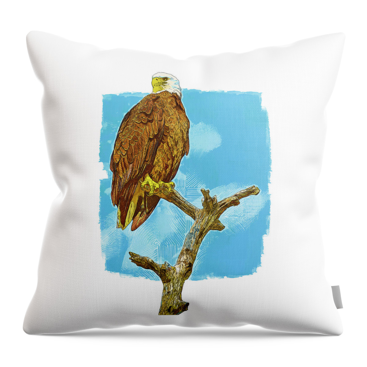 Myeress Throw Pillow featuring the photograph Bald Eagle painted effect by Joe Myeress