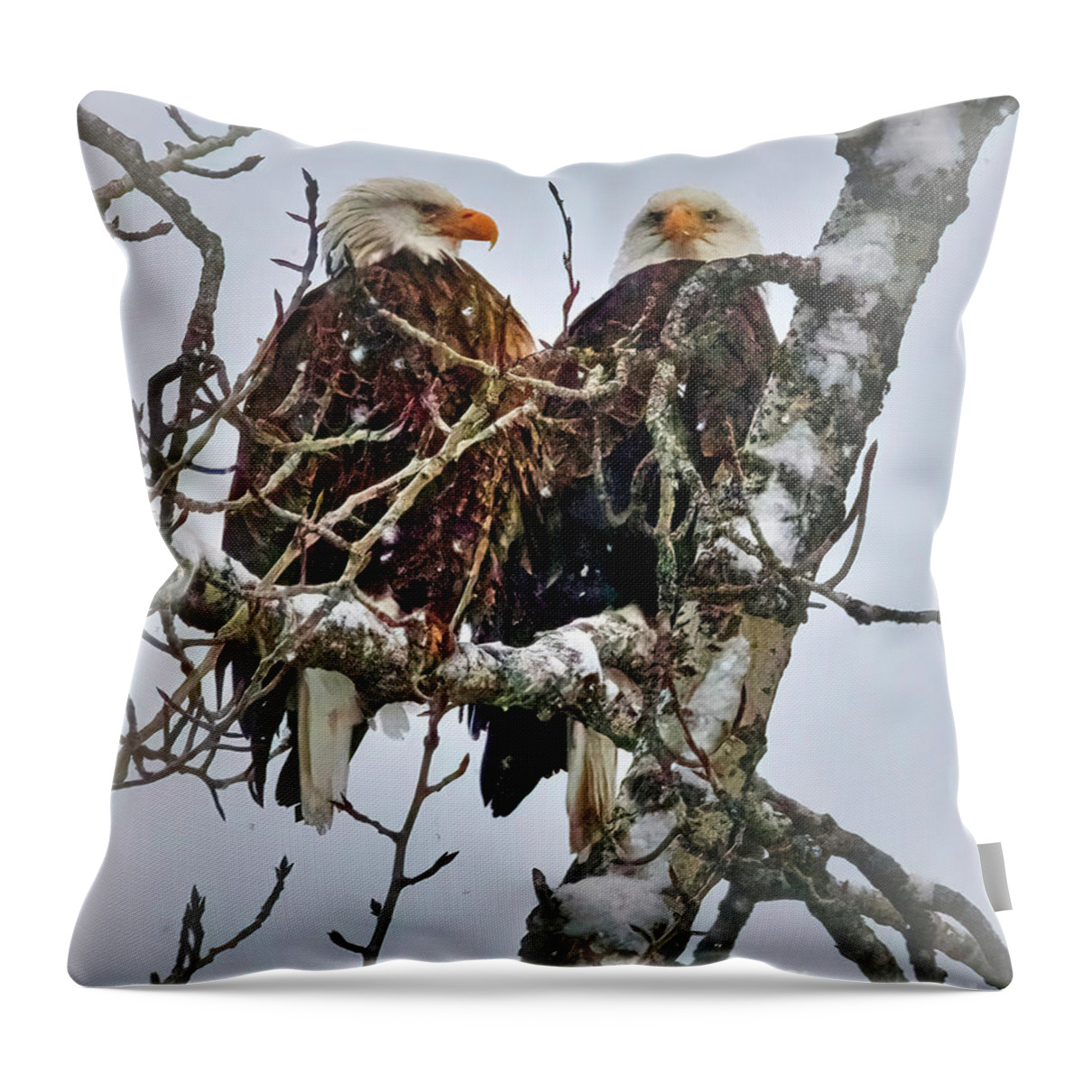 Eagle Throw Pillow featuring the photograph Bald Eagle Pair by Thomas Nay