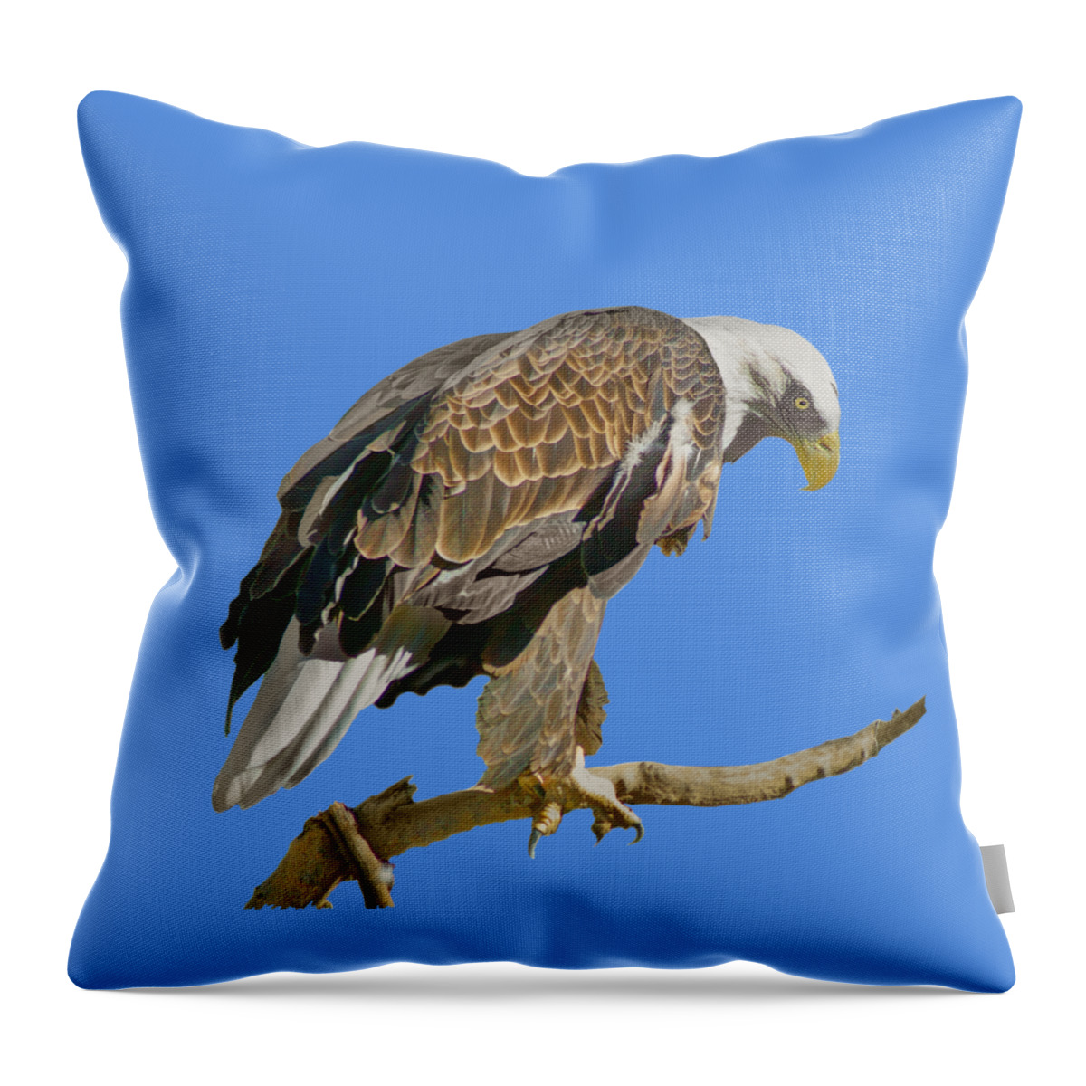 Bald Eagle Throw Pillow featuring the photograph Bald Eagle - Transparent by Nikolyn McDonald