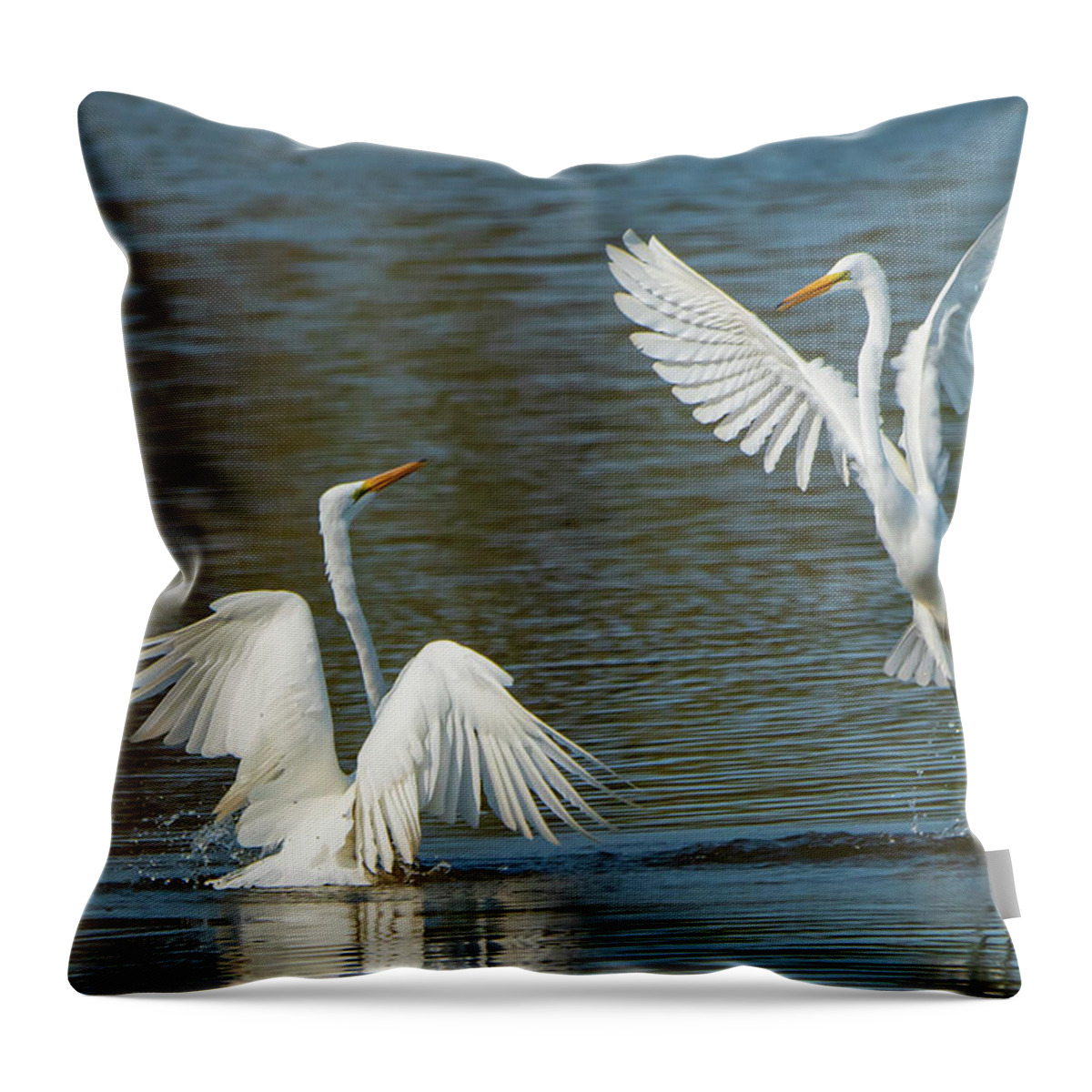 Ballet Throw Pillow featuring the photograph Ballet in Nature Egret Birds by Sandra J's