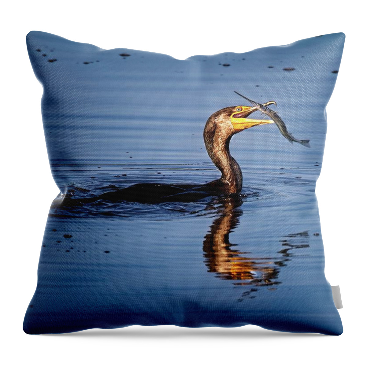 Bird Throw Pillow featuring the photograph Ballyhoo for Lunch by Ronald Lutz