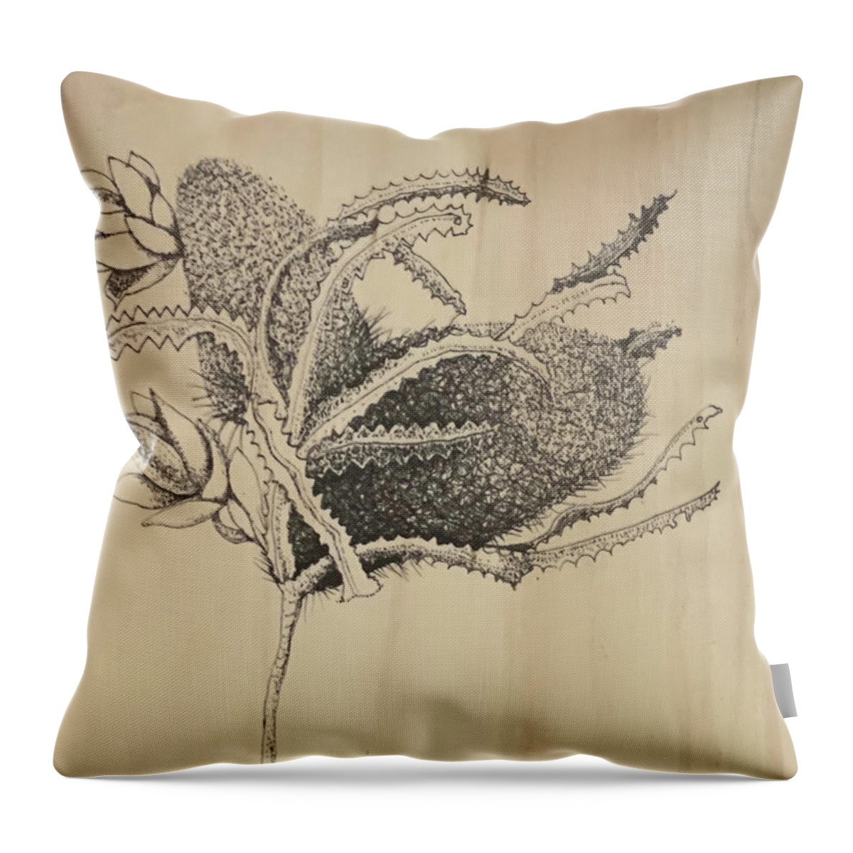 Ink Throw Pillow featuring the drawing Banksia by Franci Hepburn