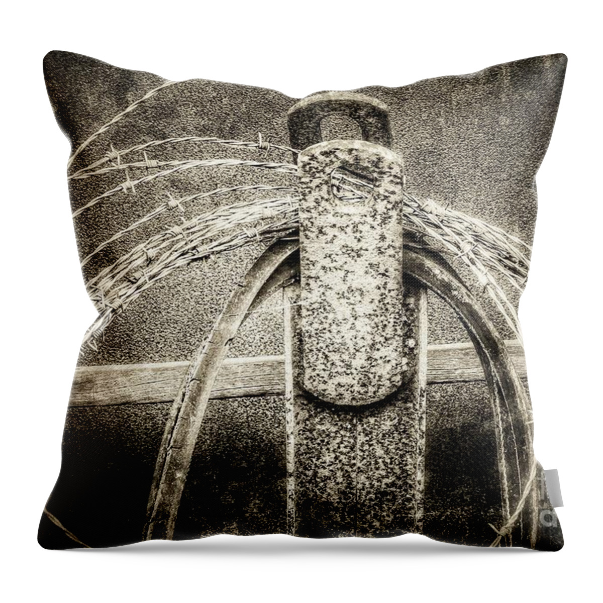 Fencing Throw Pillow featuring the photograph Barbed Wire by Mike Eingle