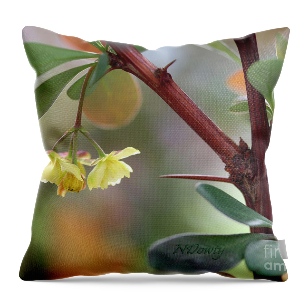 Barberry Blossom Throw Pillow featuring the photograph Barberry Blossom by Natalie Dowty