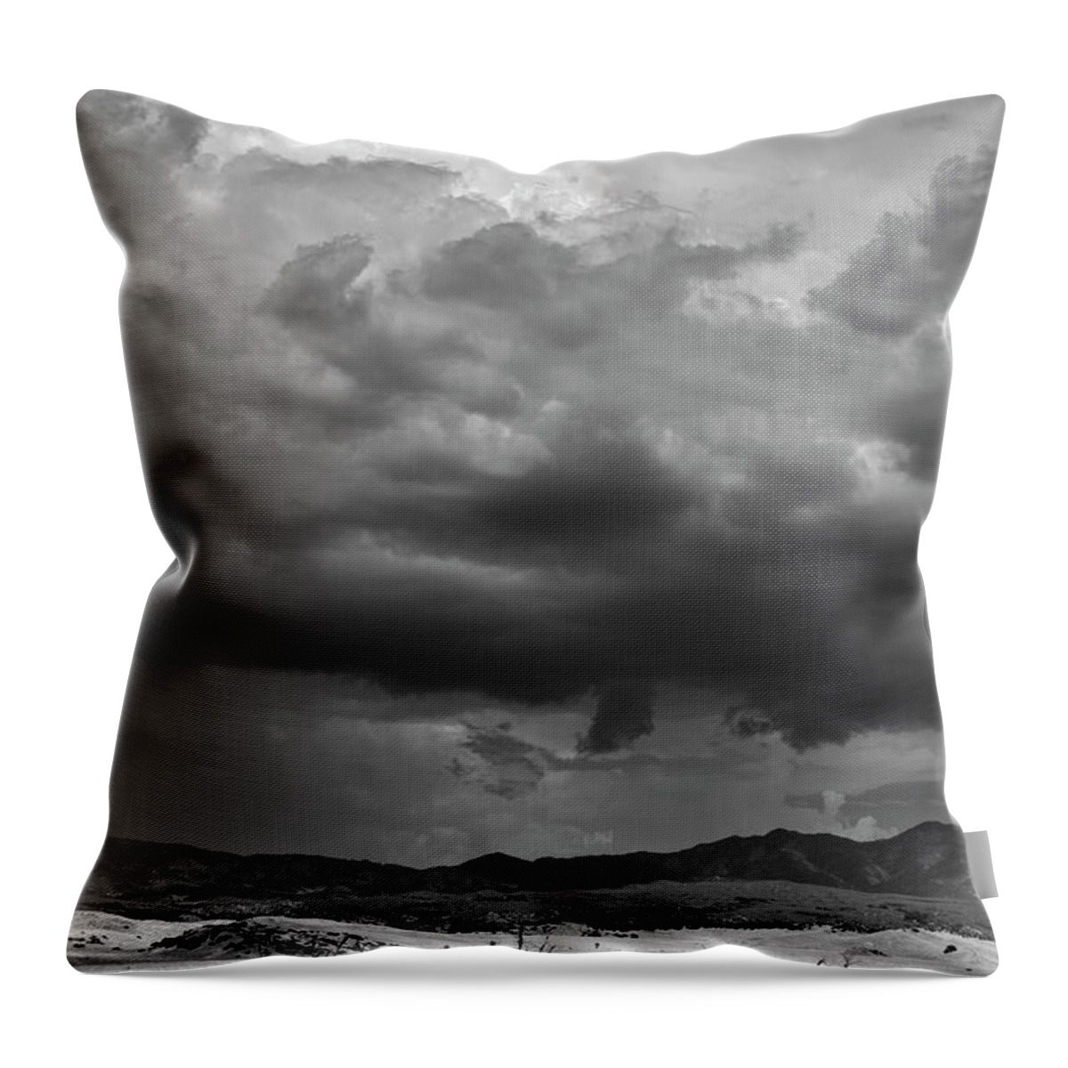 San Diego Throw Pillow featuring the photograph Bare Trees and Monsoon Clouds Near Ranchita by William Dunigan