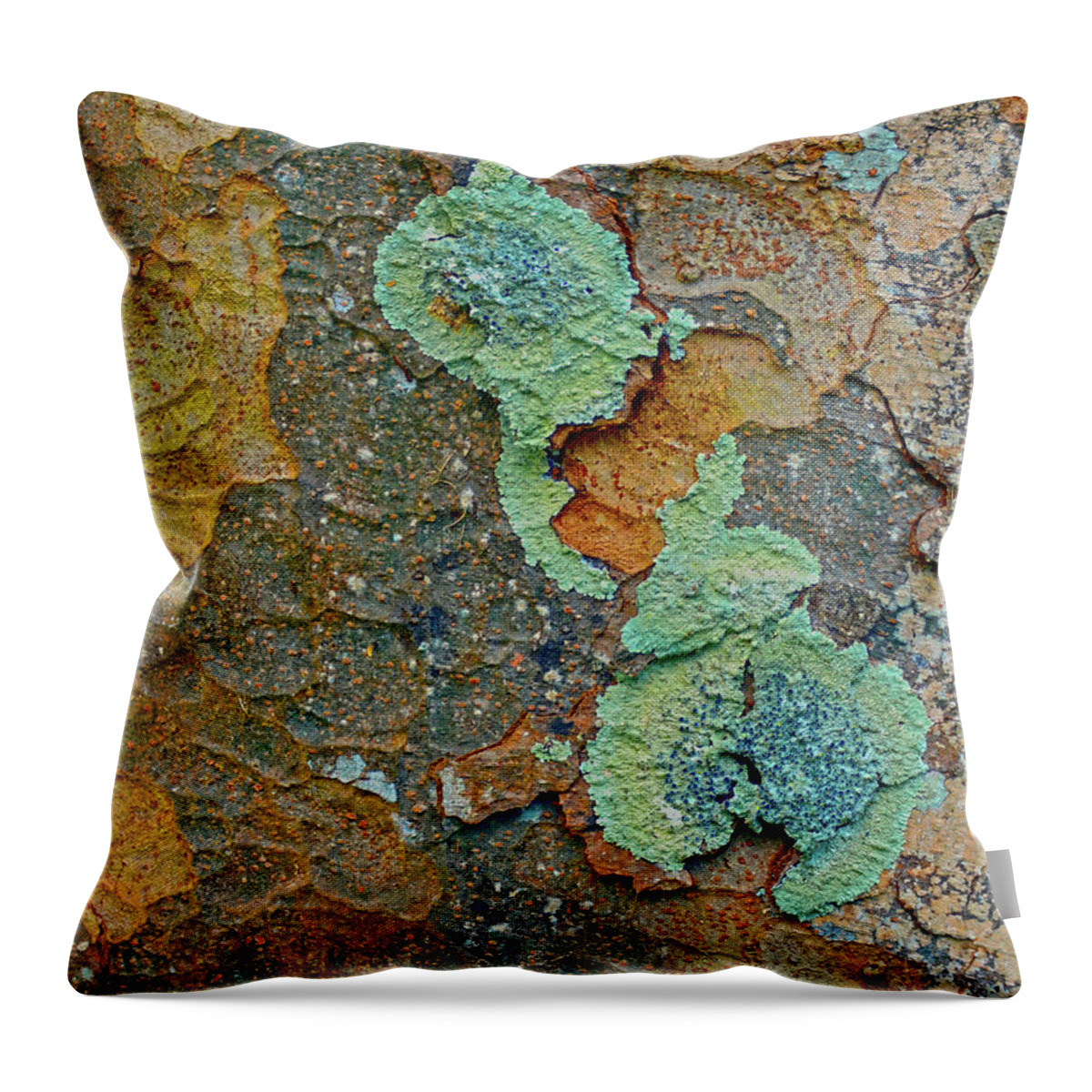  Tree Throw Pillow featuring the photograph Bark Topography 4 by Lynda Lehmann