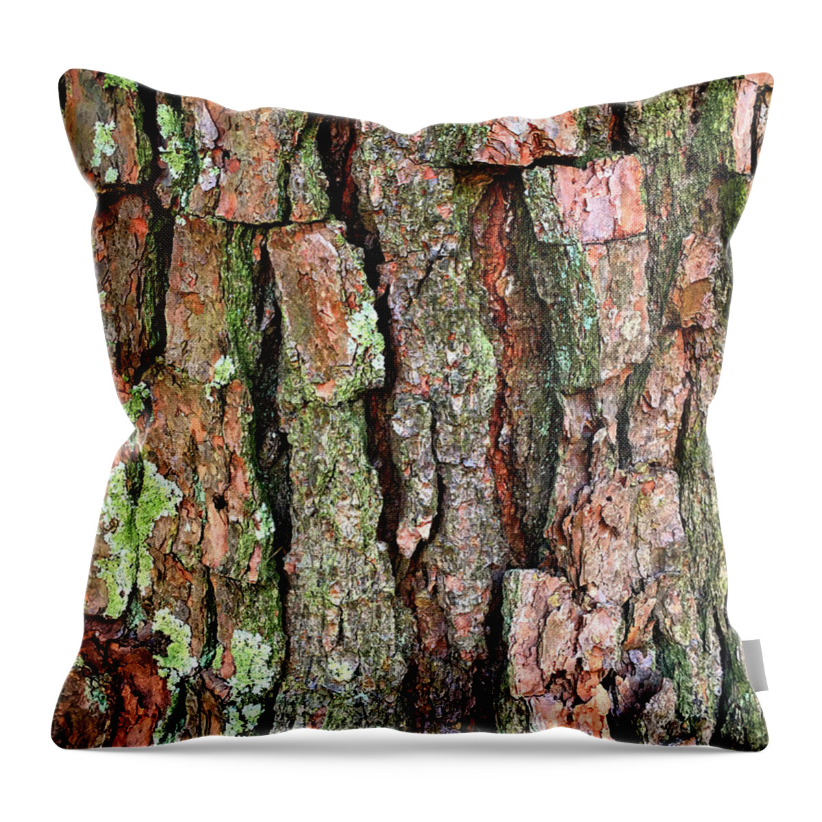 Bark Throw Pillow featuring the photograph Barking up the Wrong Tree by Bill Swartwout