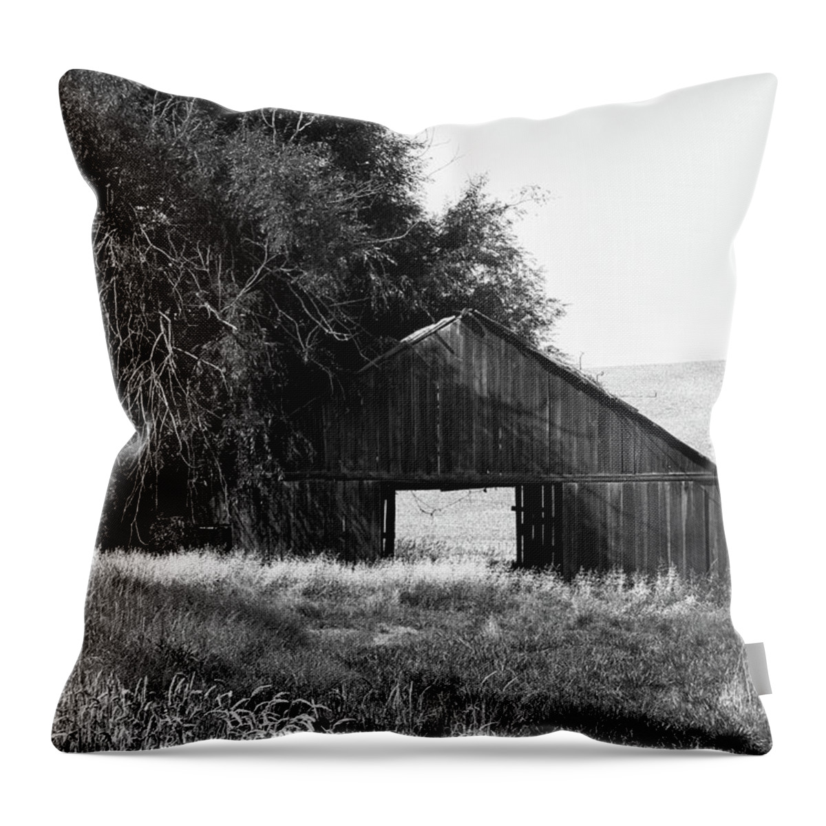 Farm Throw Pillow featuring the photograph Barn and Tree by Connie Carr