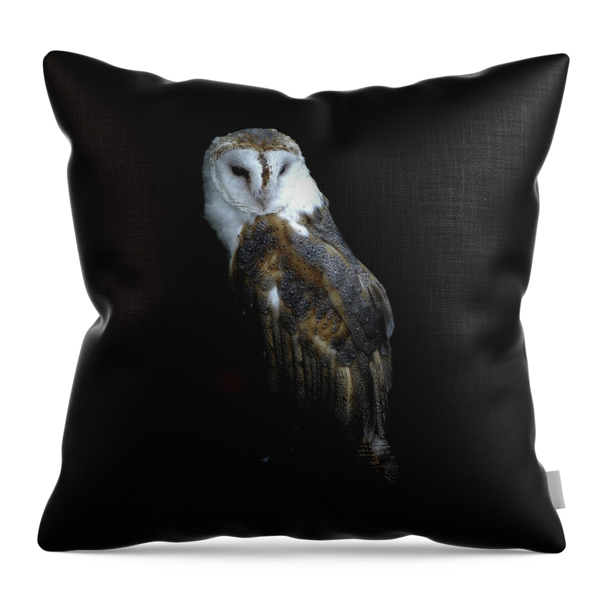 Owl Throw Pillow featuring the photograph Barn Owl Against a Black Background by James C Richardson