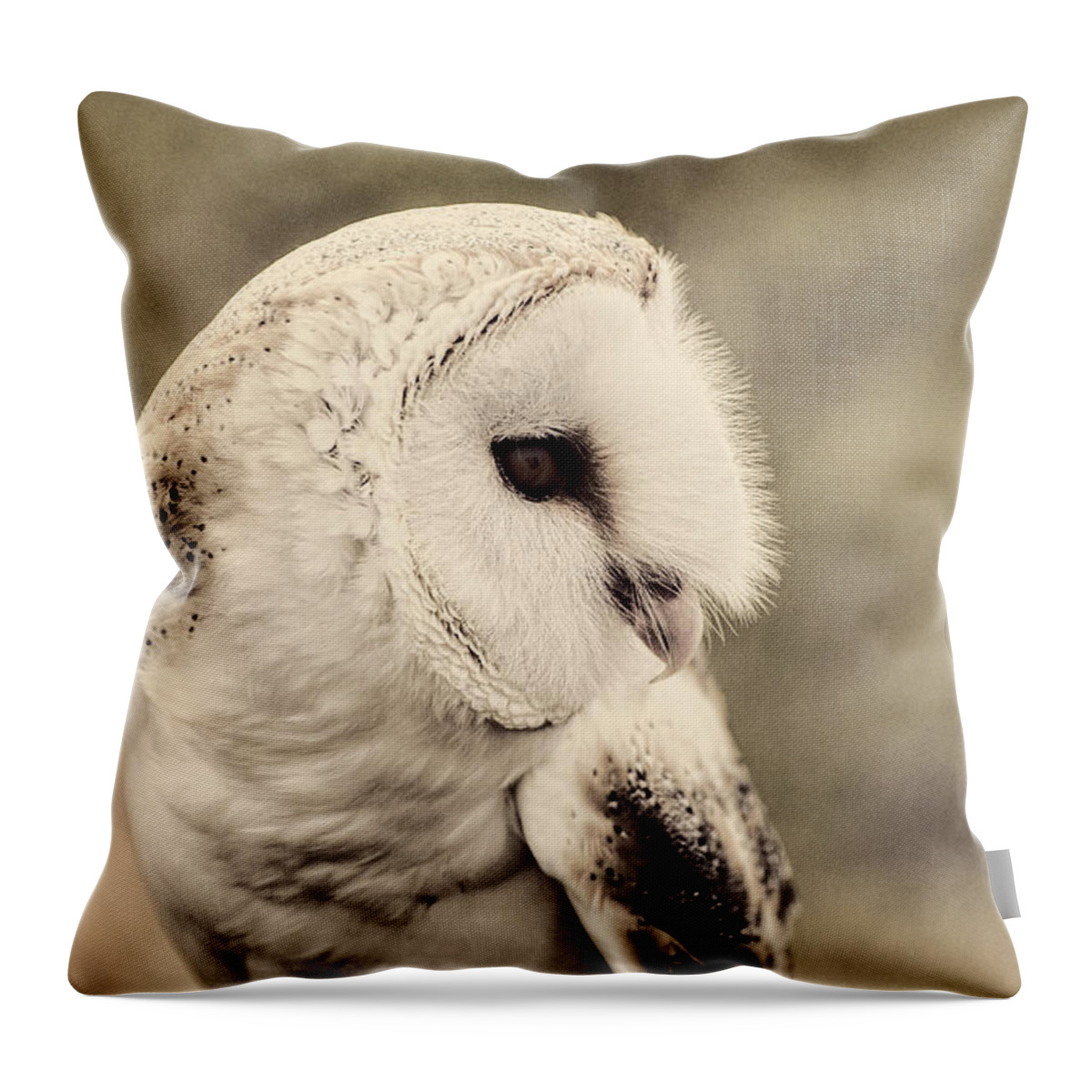 Barn Throw Pillow featuring the photograph Barn Owl by Carolyn Hutchins