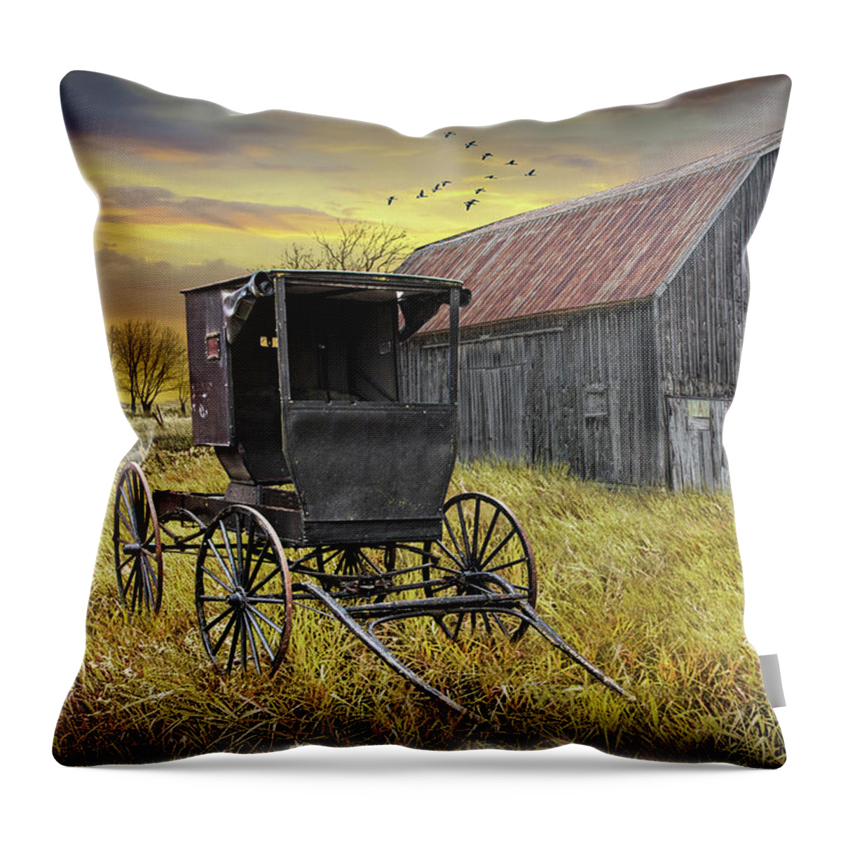 Barn Throw Pillow featuring the photograph Barn Quilt with Amish Buggy and Horse on Amish Farm at Sunset by Randall Nyhof
