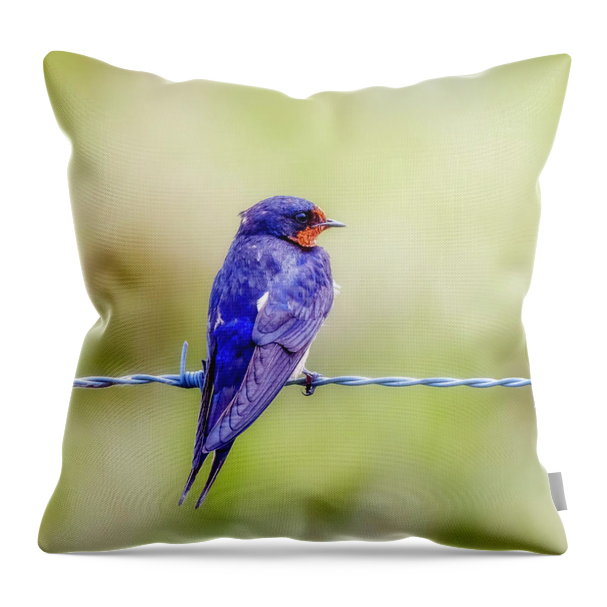 Barn Swallow Throw Pillow featuring the photograph Barn Swallow Perched on Barbed Wire by Susan Rissi Tregoning