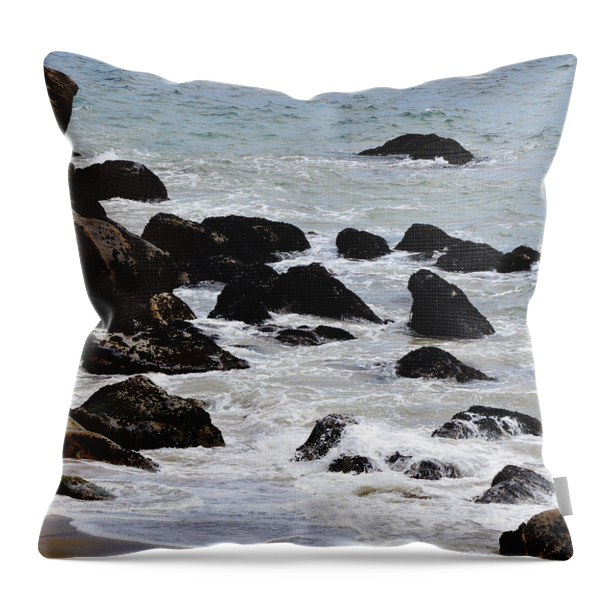 Beach Throw Pillow featuring the photograph Barnacle Rock Sea Lion at the Beach by Gaby Ethington