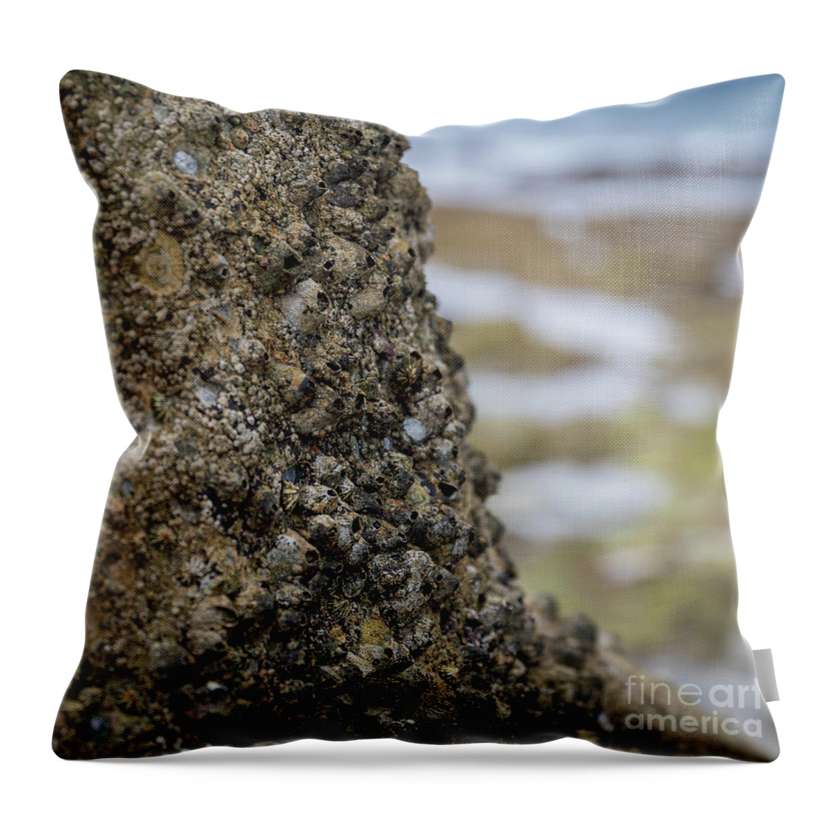 Barnacles Throw Pillow featuring the photograph Barnacles by Rebecca Caroline Photography