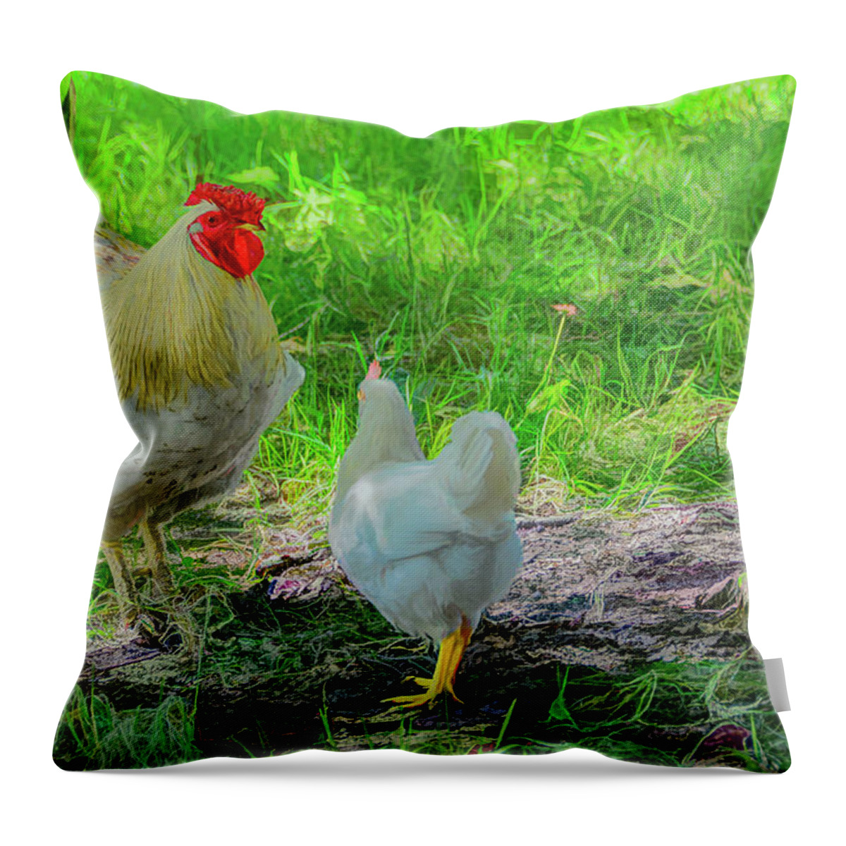 Chicken Throw Pillow featuring the photograph Barnyard Chatter by Marcy Wielfaert