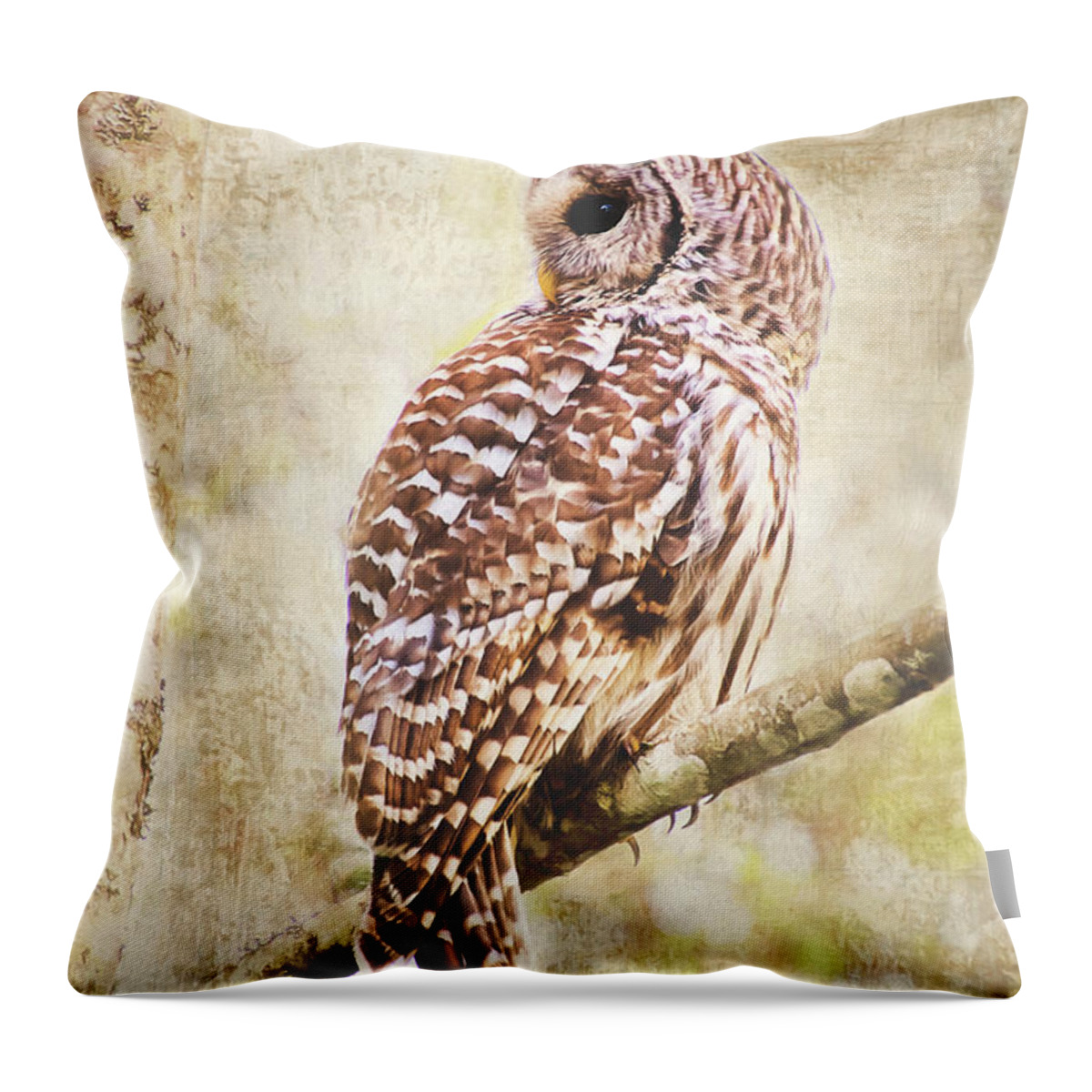 Barred Owl Throw Pillow featuring the photograph Barred Owl in Alder Tree by Peggy Collins