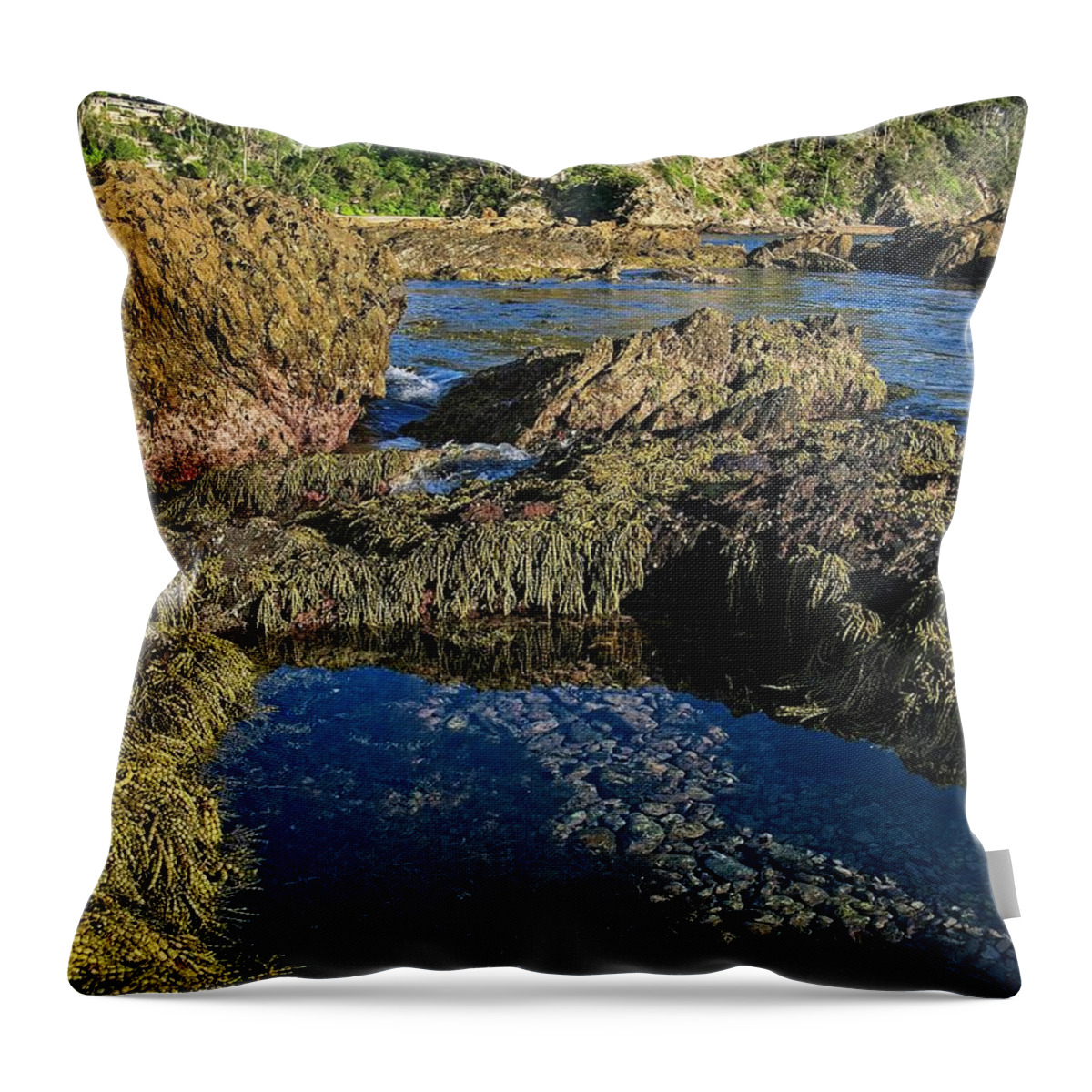 Australia Throw Pillow featuring the photograph Batemans Bay Coastline 2, NSW, Australia by Steven Ralser