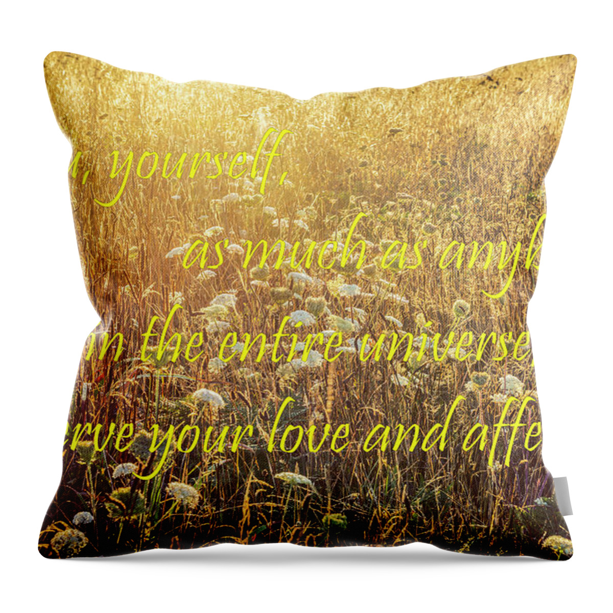 Buddha Throw Pillow featuring the photograph Be Kind To Yourself by Joseph S Giacalone