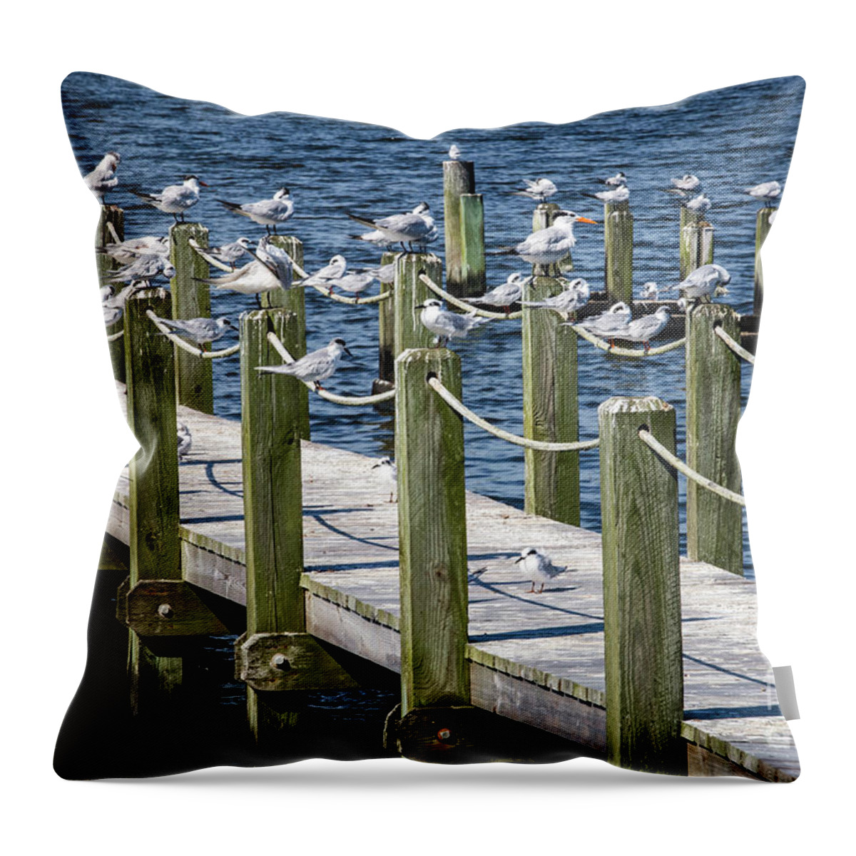North Carolina Throw Pillow featuring the photograph Beach Birds by Erin Marie Davis