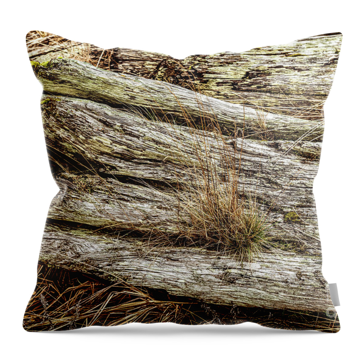 Beach Driftwood Throw Pillow featuring the photograph Beach Driftwood 17 by M G Whittingham