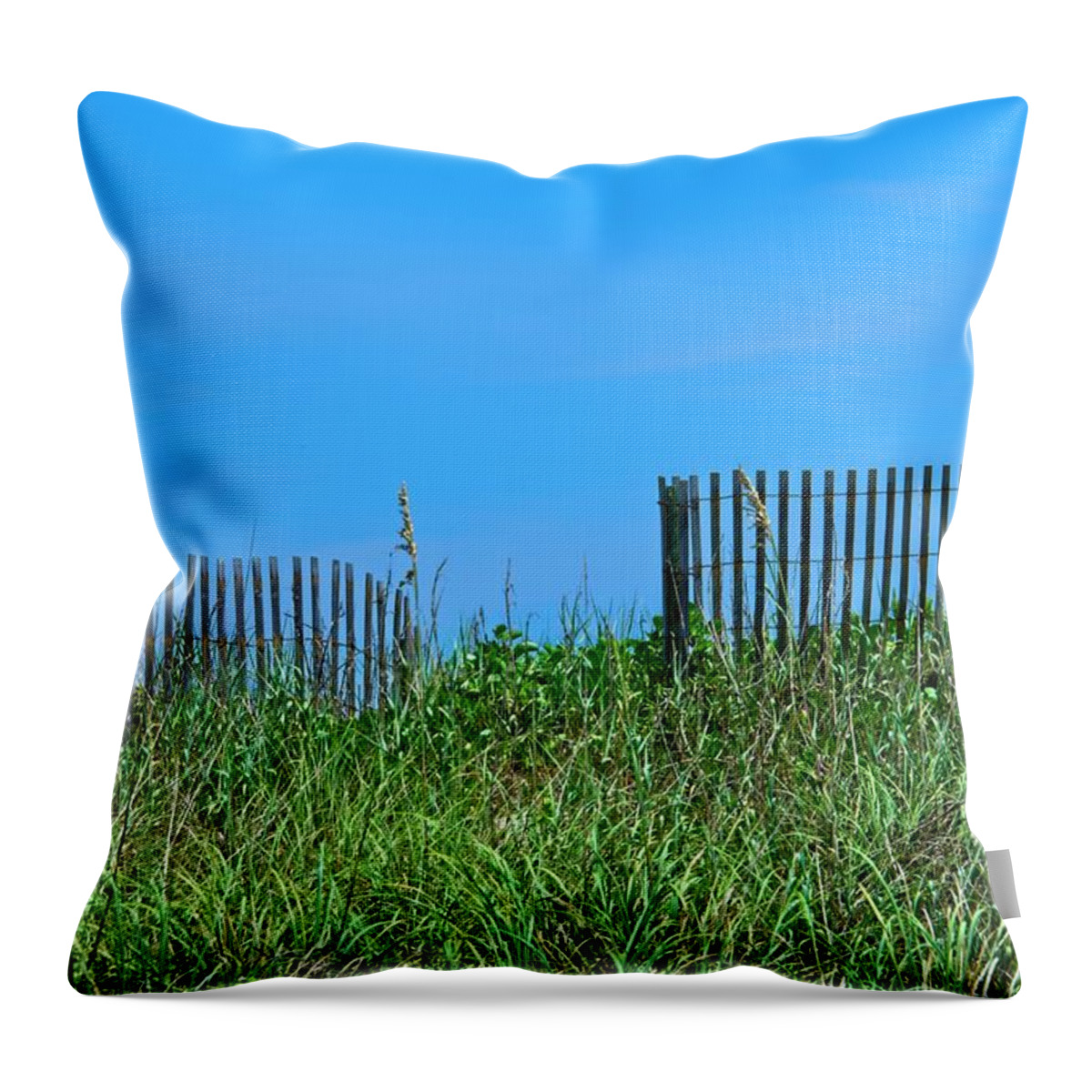 Beach Throw Pillow featuring the photograph Beach Fence by Carolyn Marshall