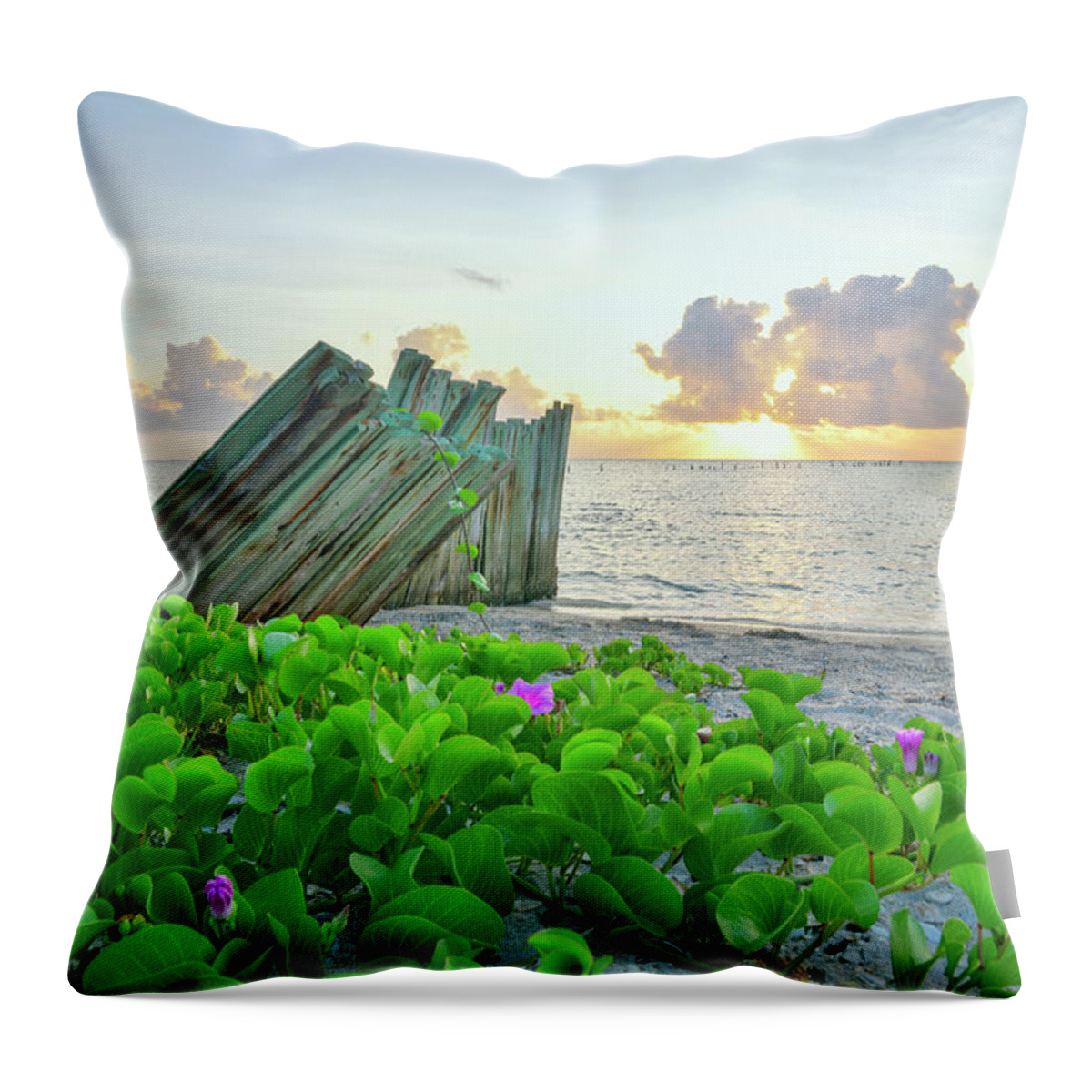 Rockport Throw Pillow featuring the photograph Beach Morning Glory by Christopher Rice
