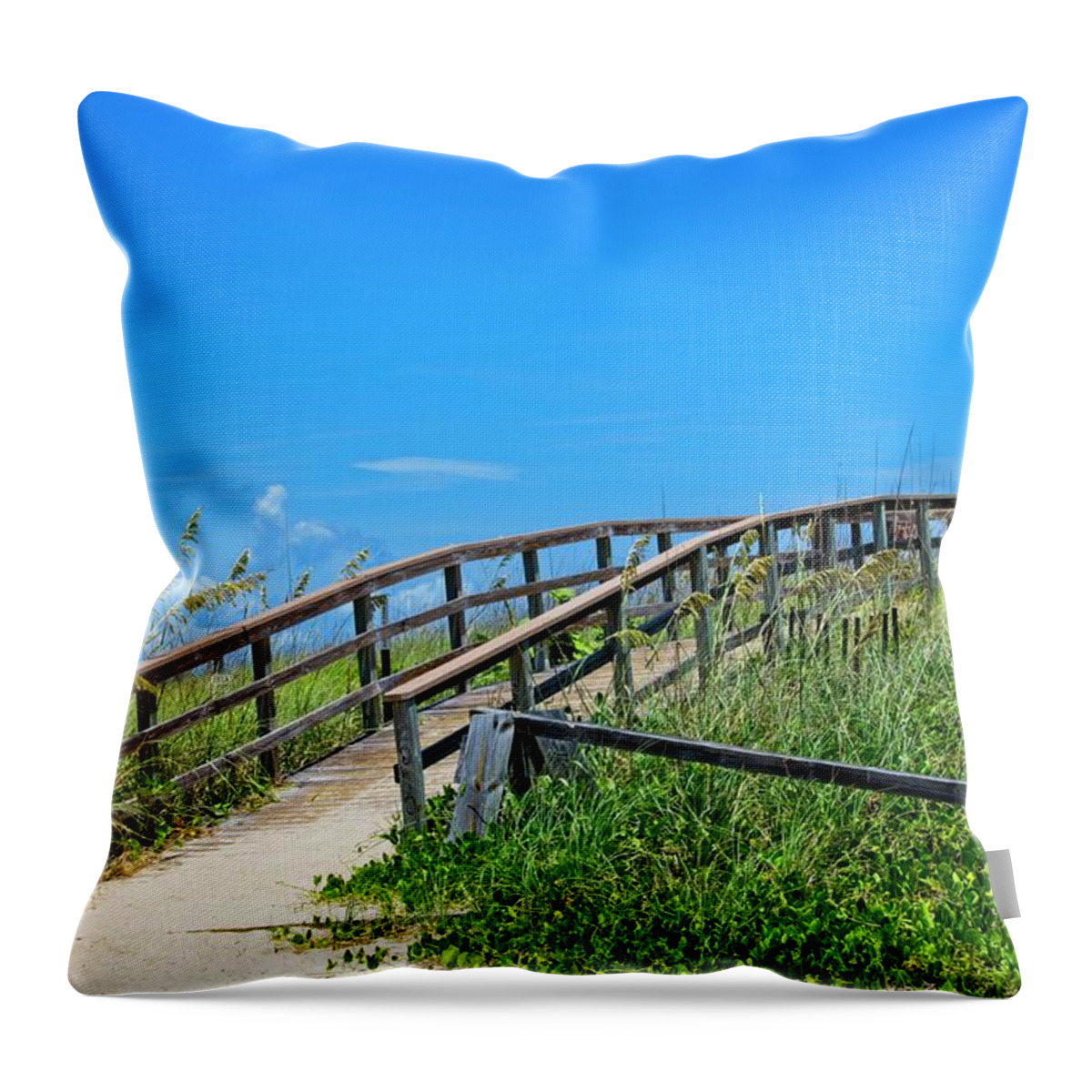 Beach Throw Pillow featuring the photograph Beach Pathway by Carolyn Marshall