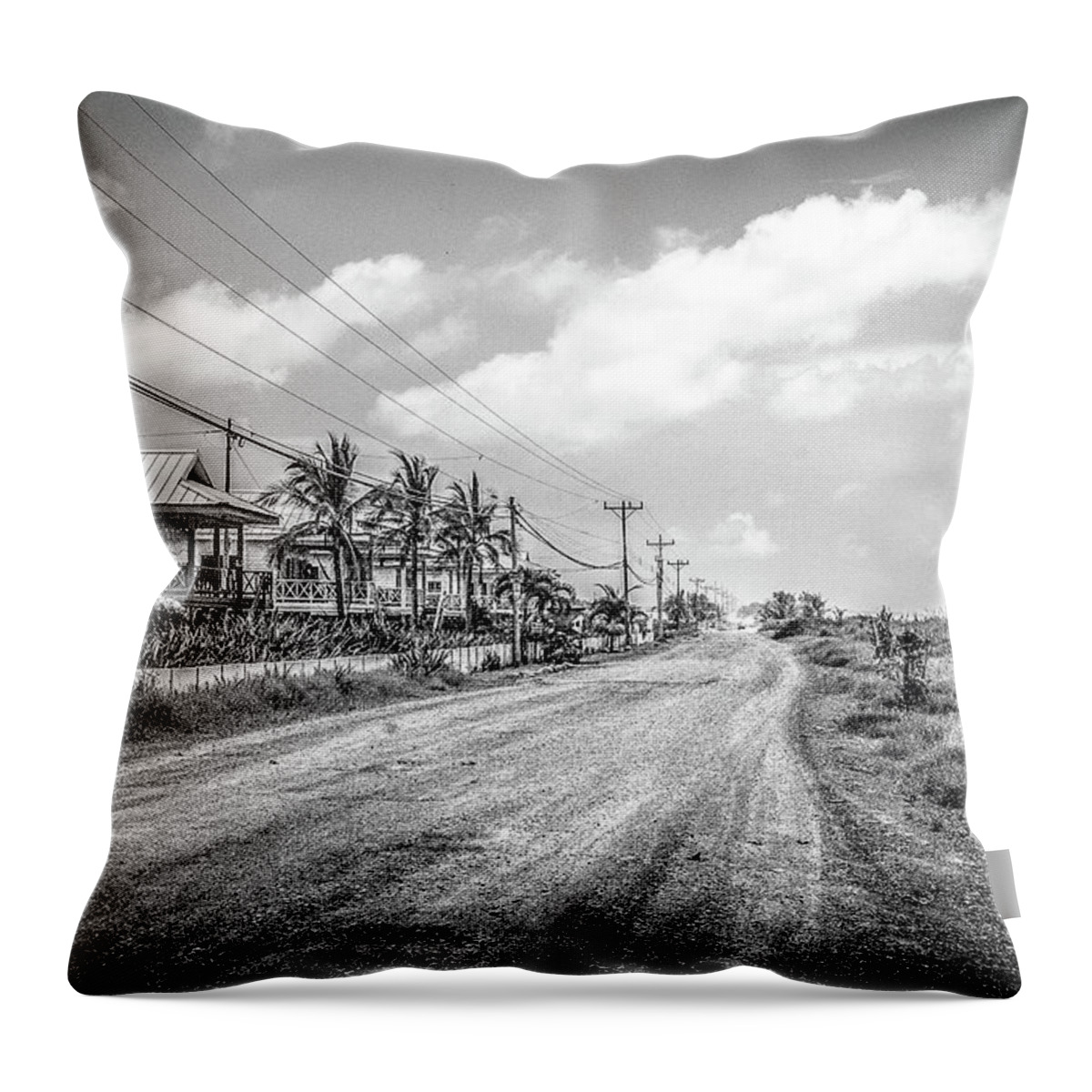 Beach Throw Pillow featuring the photograph Beach Road by Tito Slack
