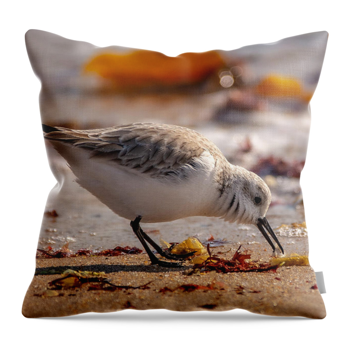 Shore Bird Throw Pillow featuring the photograph Beach Salad by Linda Bonaccorsi