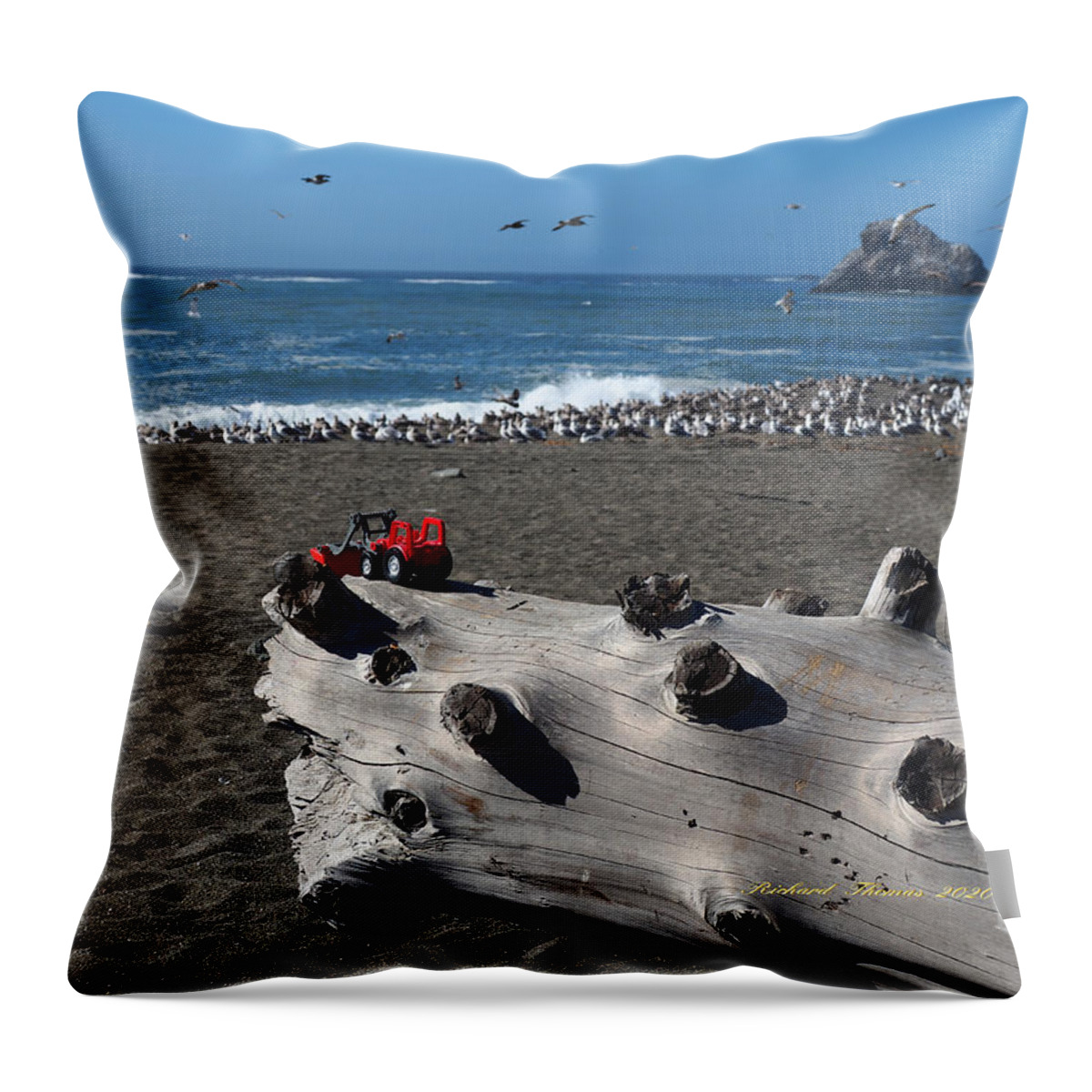 Seascape. Seabirds Throw Pillow featuring the photograph Beached Birds by Richard Thomas