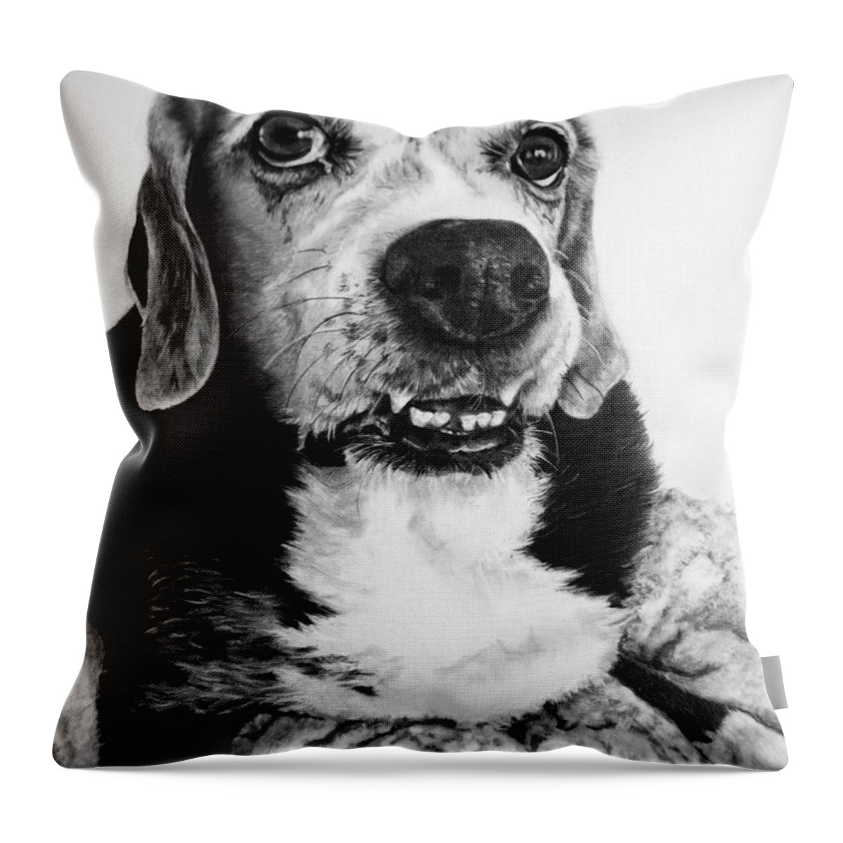 Dog Throw Pillow featuring the drawing Beagle Mix by Terri Mills