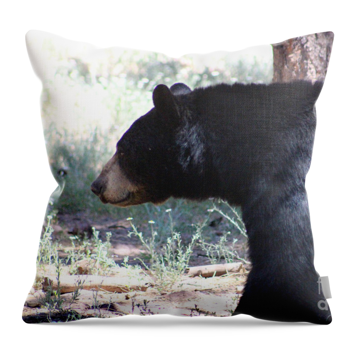 Black Bear Throw Pillow featuring the photograph Bear in Thought by Colleen Cornelius
