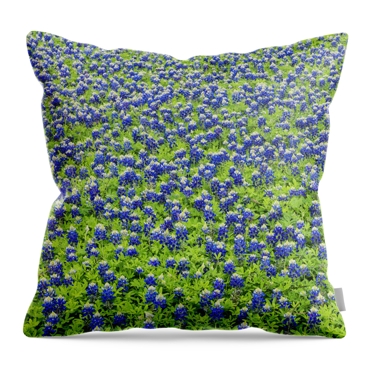 Texas Bluebonnets Throw Pillow featuring the photograph Beautiful Bluebonnet Patch by Jurgen Lorenzen