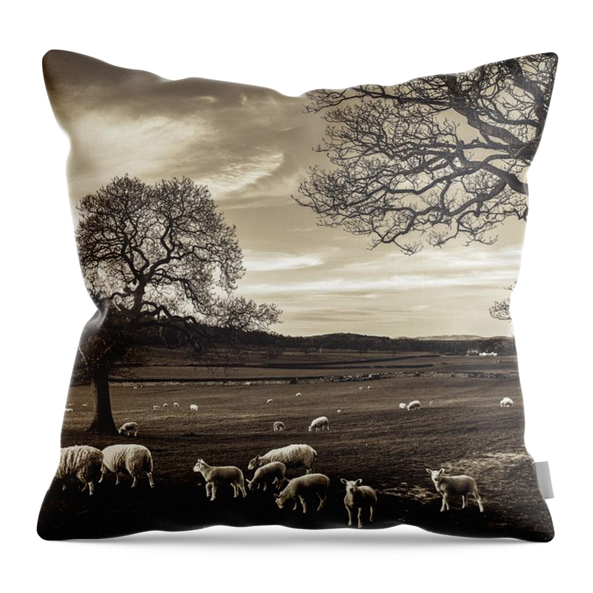 Lancashire Throw Pillow featuring the photograph Beautiful English Morning by Ian Livesey