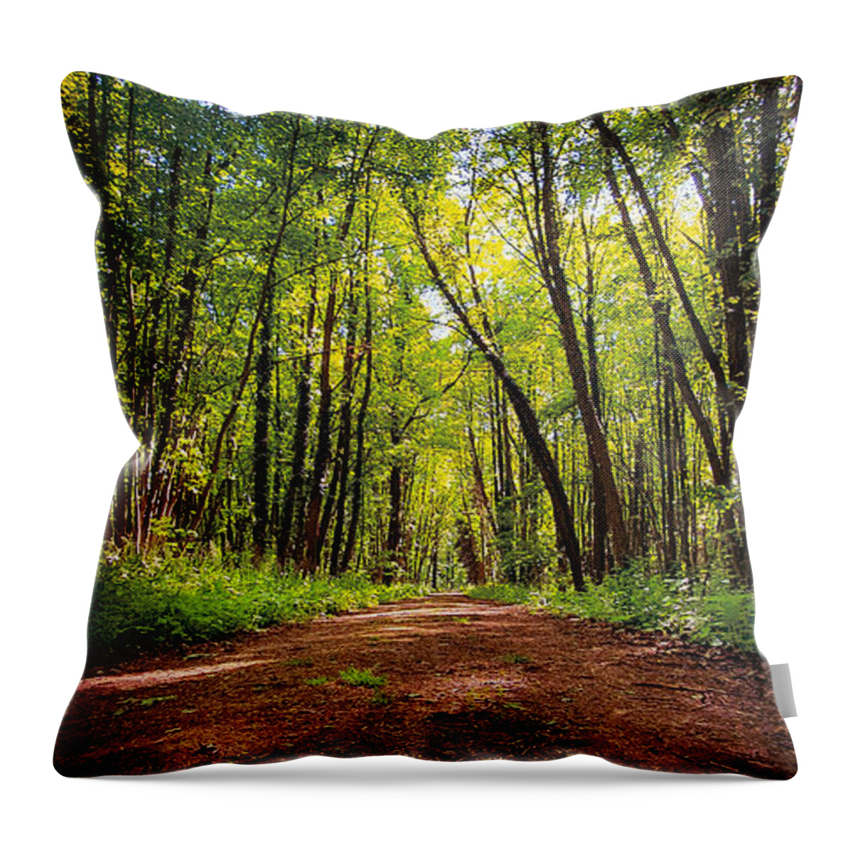 Forest Throw Pillow featuring the photograph Beautiful forest biking and hiking trail by Mendelex Photography