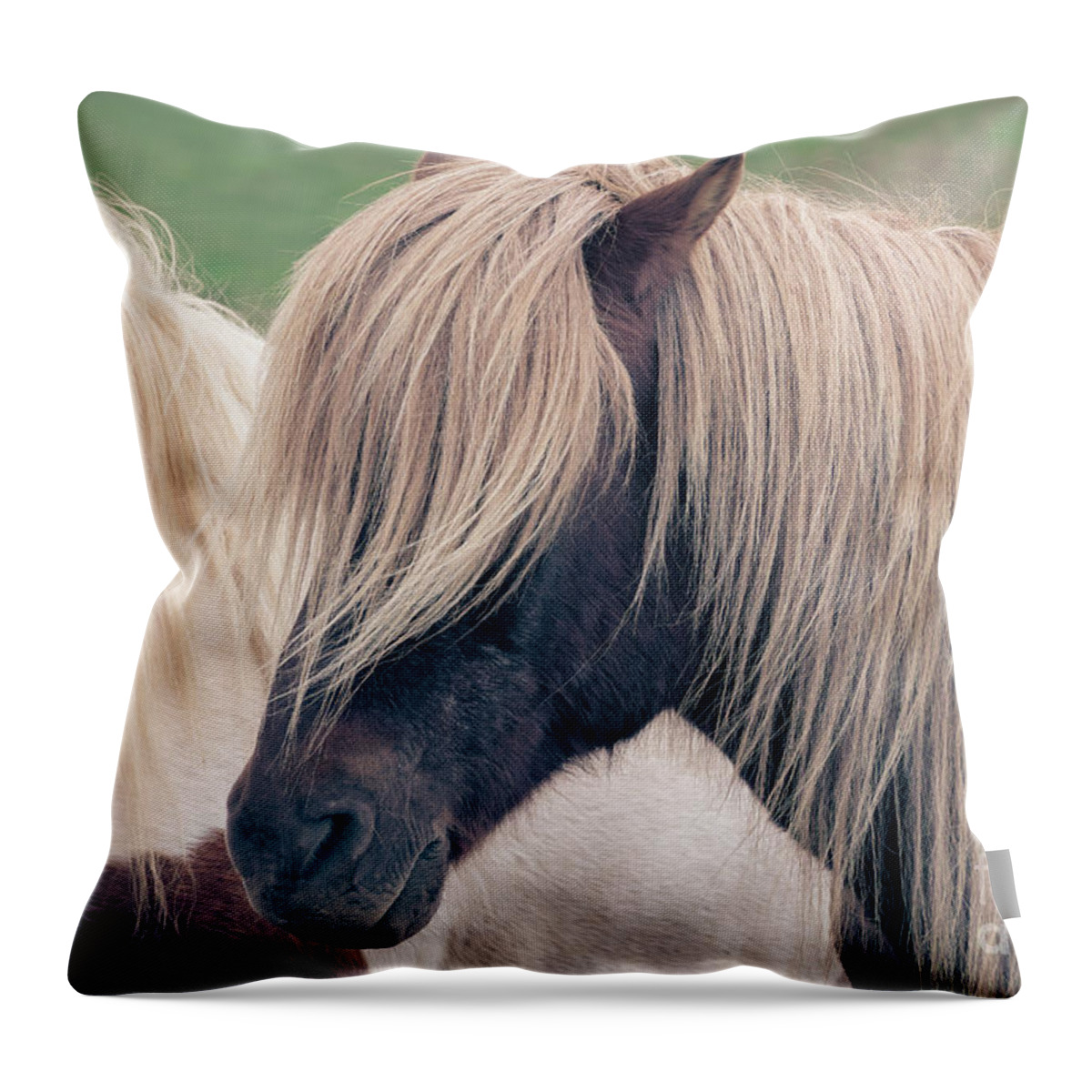 Horse Throw Pillow featuring the photograph Beautiful icelandic horse by Delphimages Photo Creations