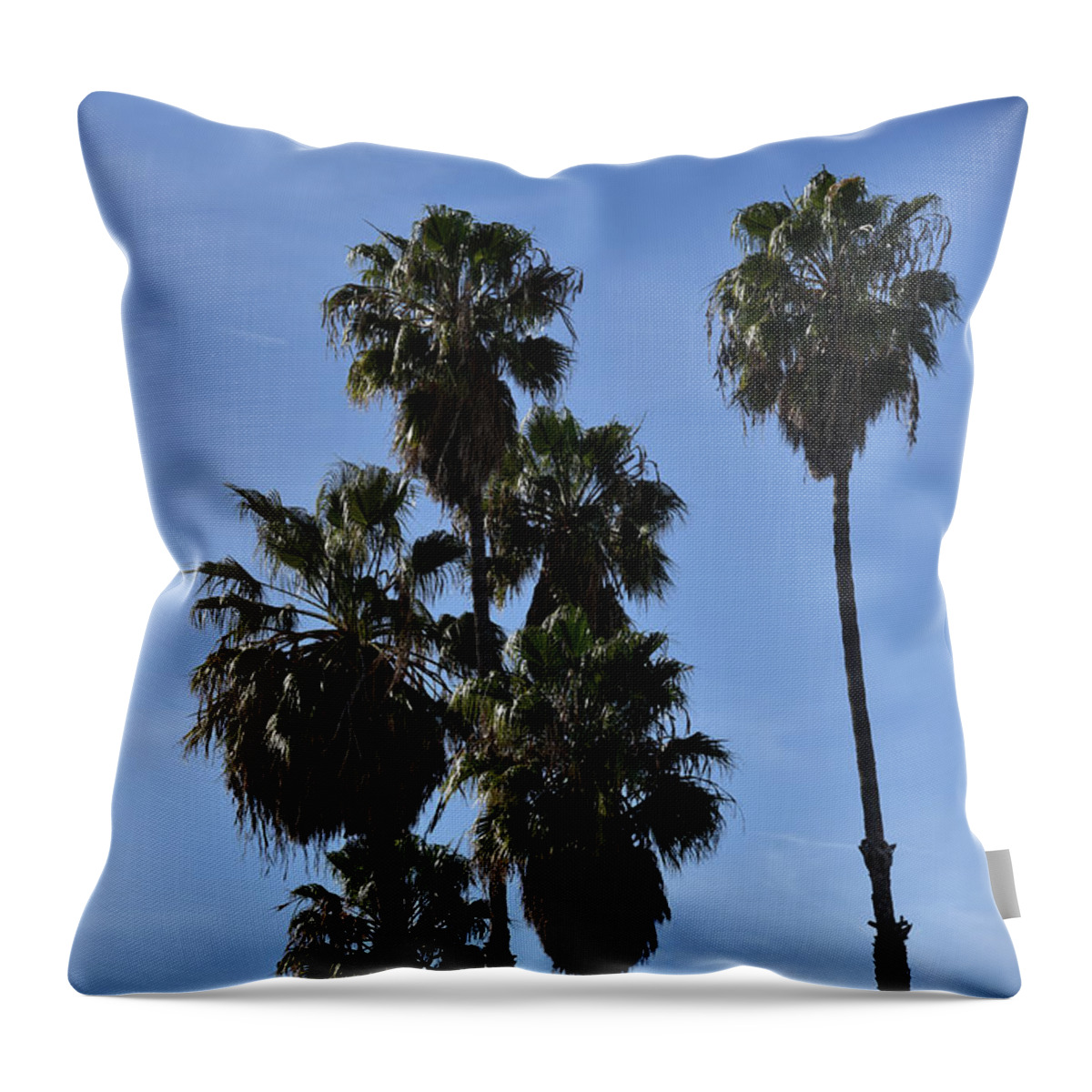 Palm Throw Pillow featuring the photograph Beautiful palm trees against a clear blue sky by Mark Stout