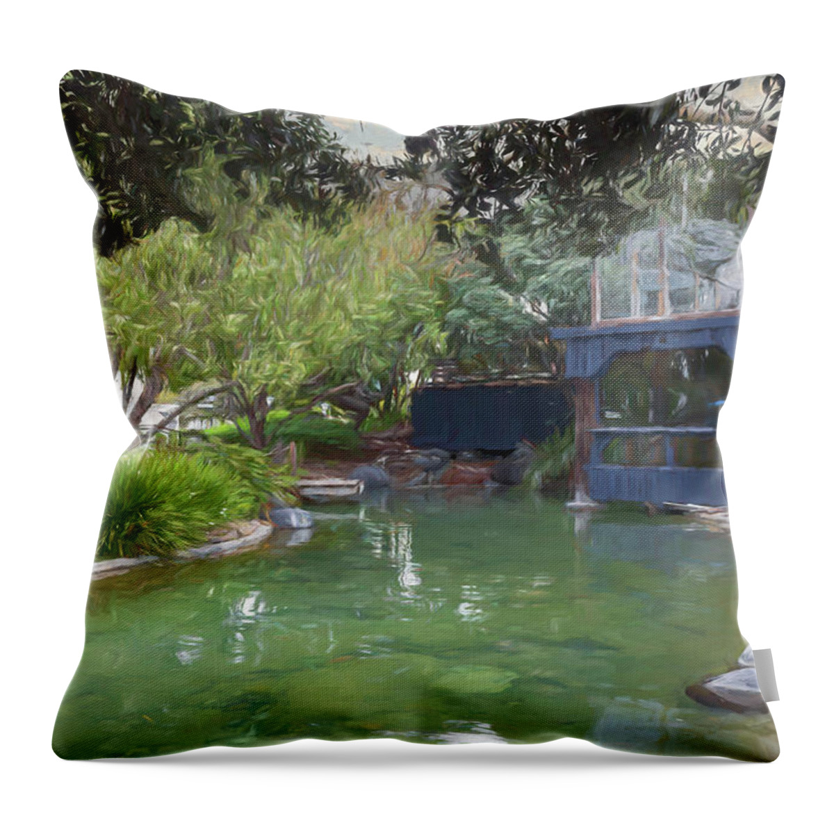 Pond Throw Pillow featuring the photograph Beautiful Pond DD by Alison Frank