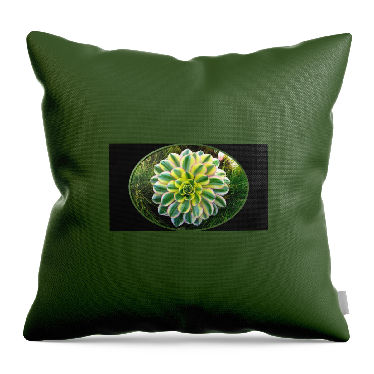 Plant Throw Pillow featuring the photograph Beautiful Succulent by Nancy Ayanna Wyatt