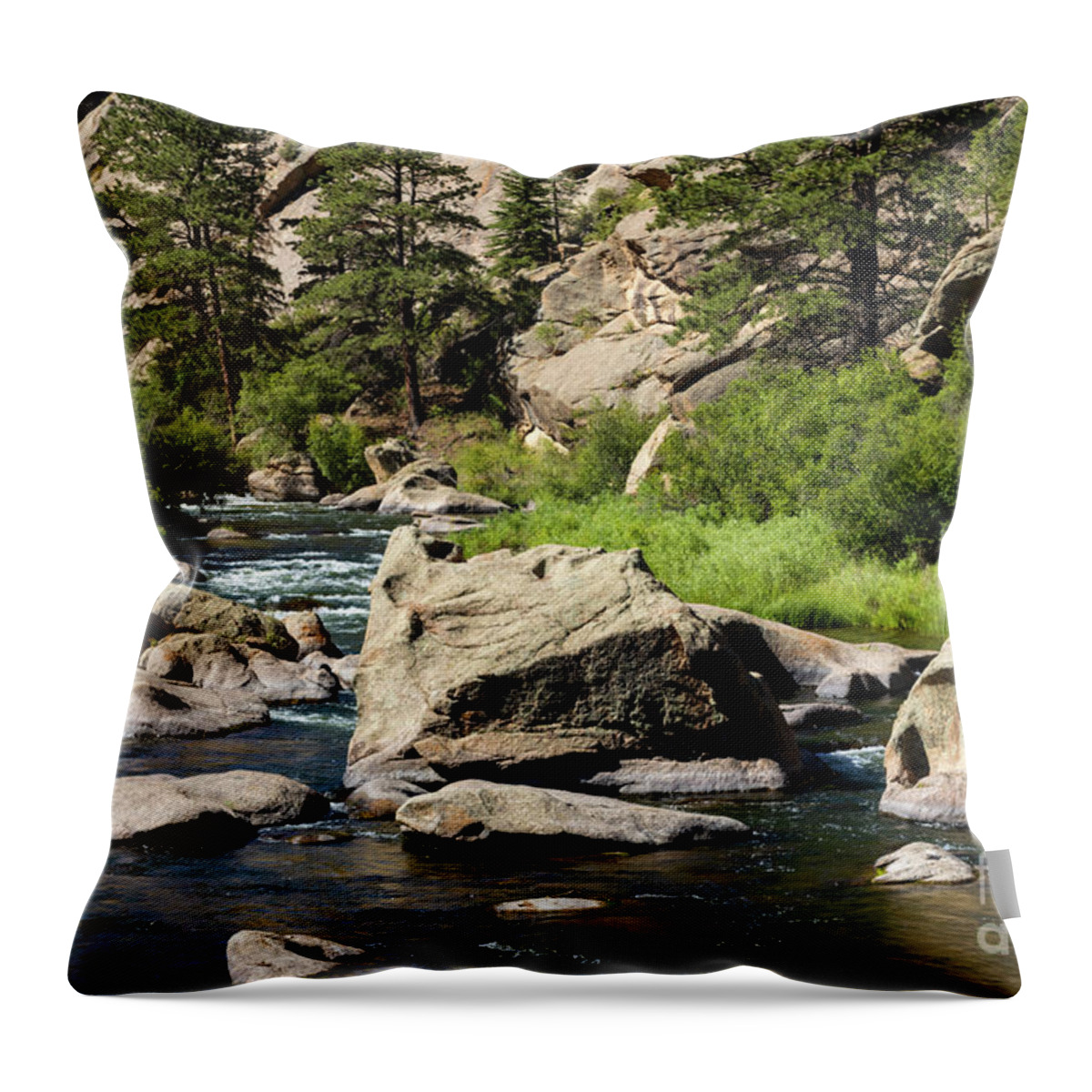 Eleven Mile Canyon Throw Pillow featuring the photograph Beautiful Water of the South Platte River by Steven Krull