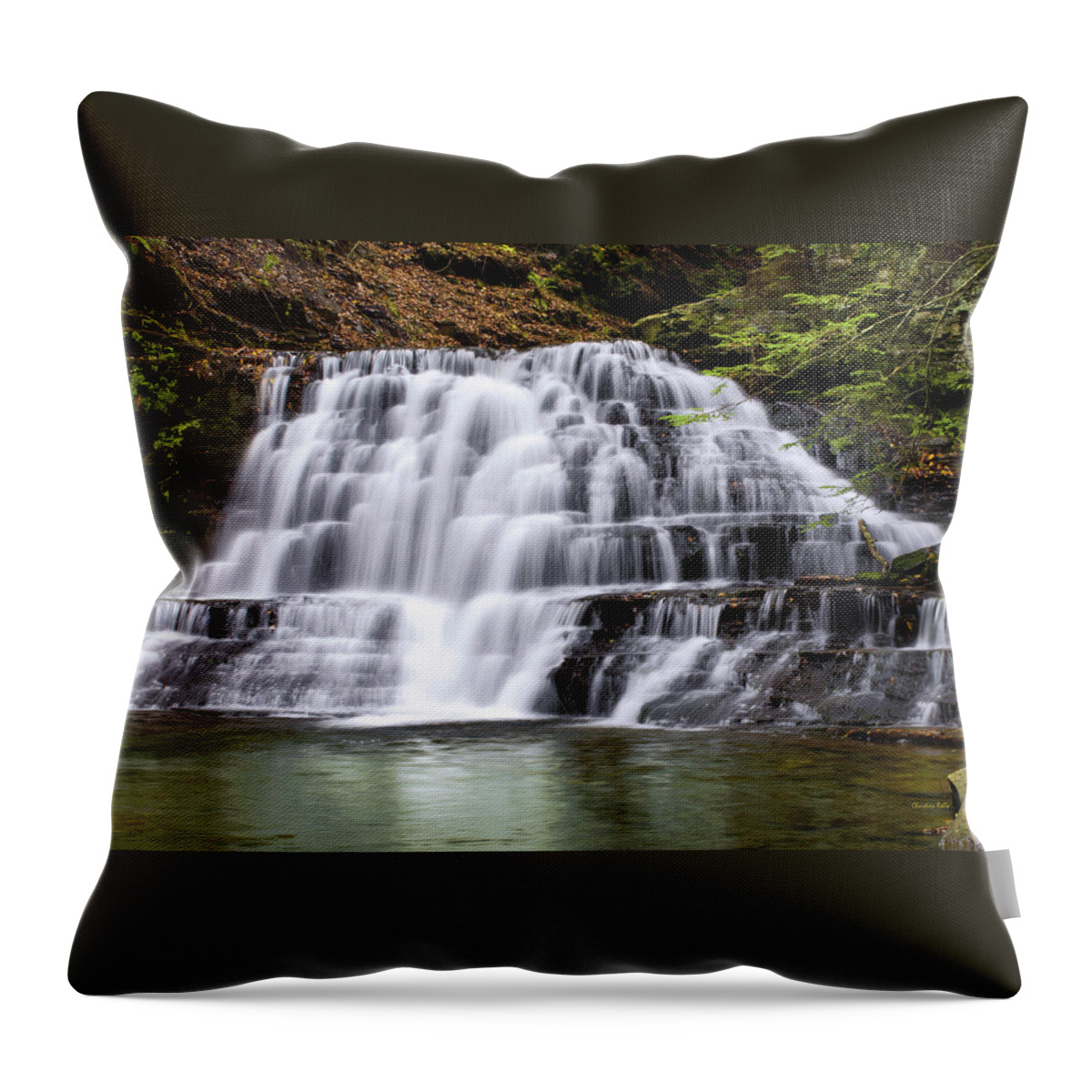 Waterfall Throw Pillow featuring the photograph Beautiful Waterfall by Christina Rollo