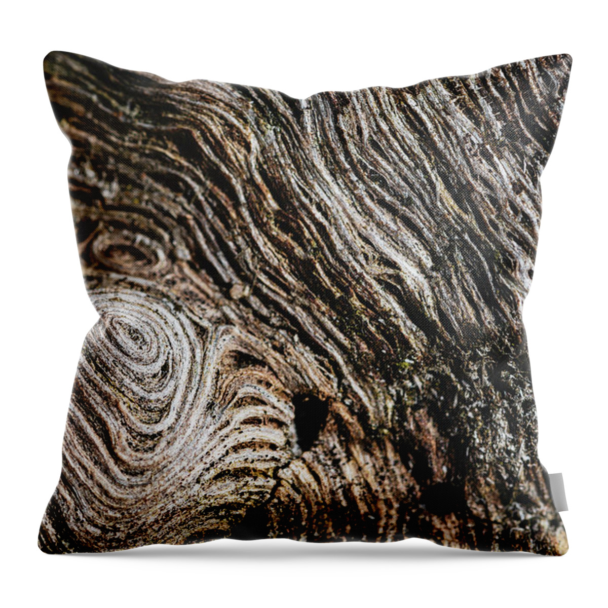 Wood Throw Pillow featuring the photograph Beautiful Wood Structure by Martin Vorel Minimalist Photography