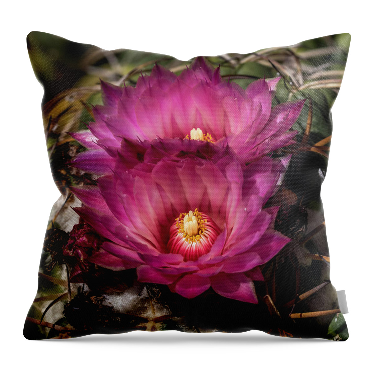 Flower Throw Pillow featuring the photograph Beauty and the Beast by Laura Roberts