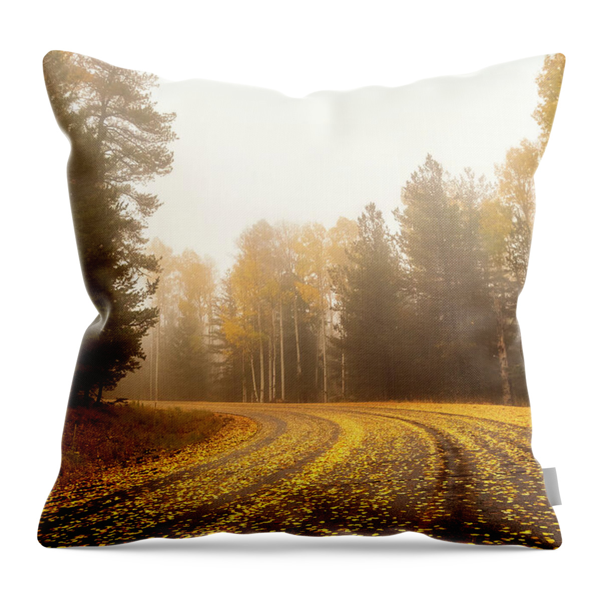 Art Throw Pillow featuring the photograph Beauty Around Every Bend by Rick Furmanek