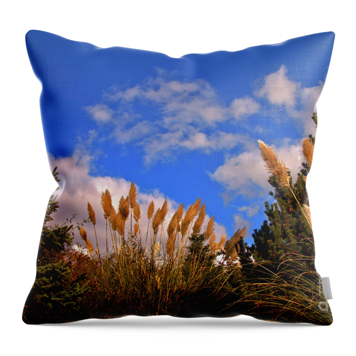 Nature Throw Pillow featuring the photograph Beauty is out there by Stephen Melia