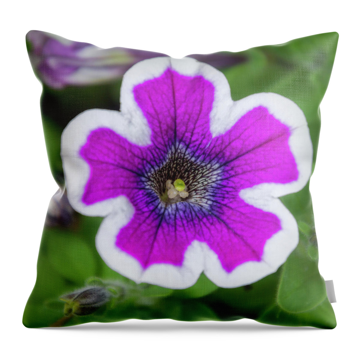 Debra Martz Throw Pillow featuring the photograph Beauty of A Garden Petunia by Debra Martz
